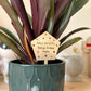 Personalised “Thank you for helping me grow” Plant Stake.