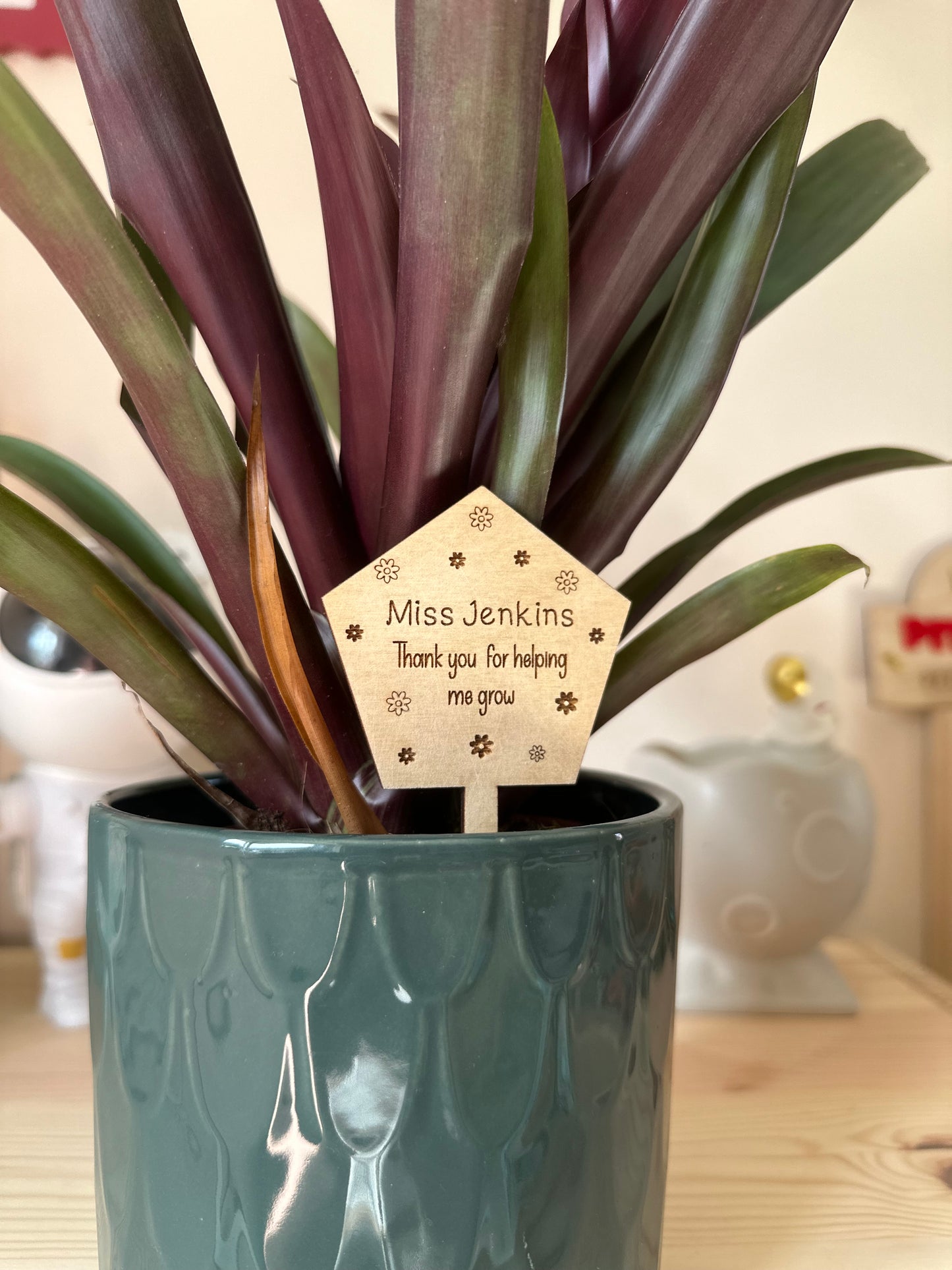 Personalised “Thank you for helping me grow” Plant Stake.