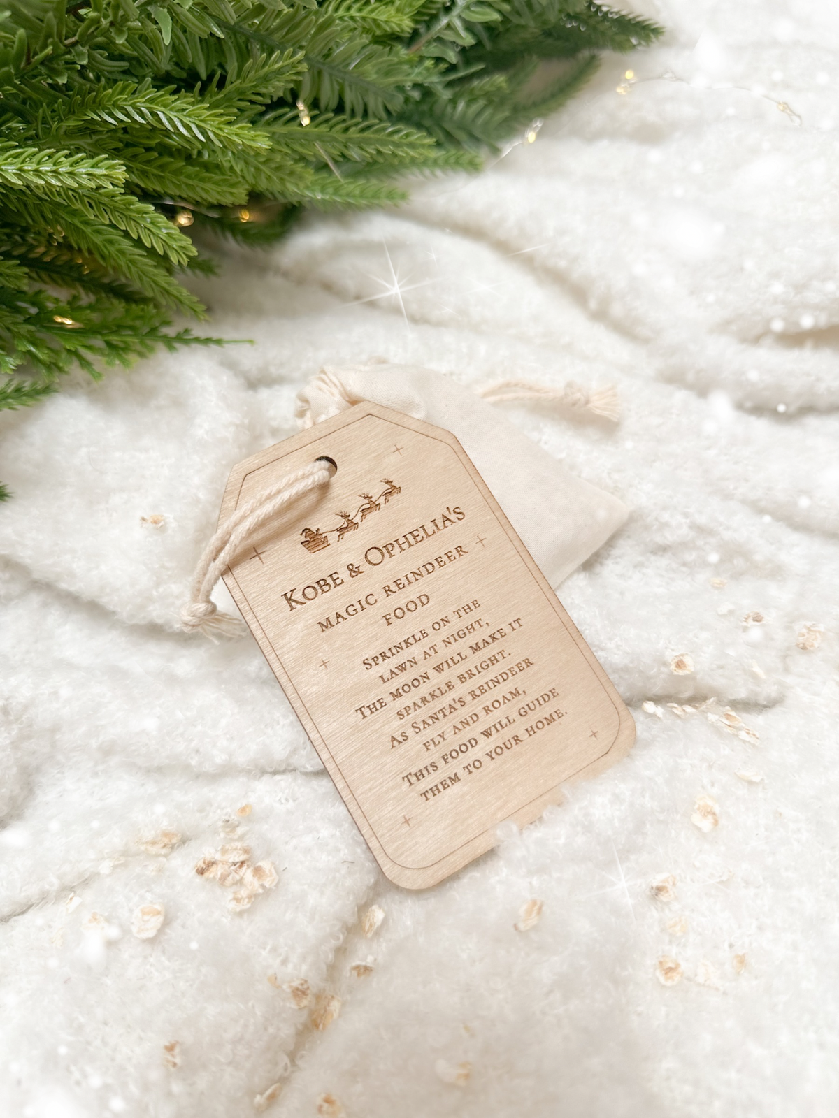 Personalised Magic Reindeer Tag & Food Bag