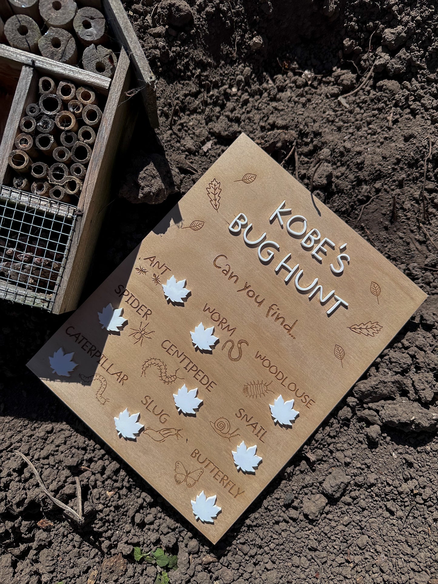 Personalised Bug Hunt Board